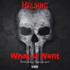 Helsing - What U Want - Single (feat. Hurricane) - Single